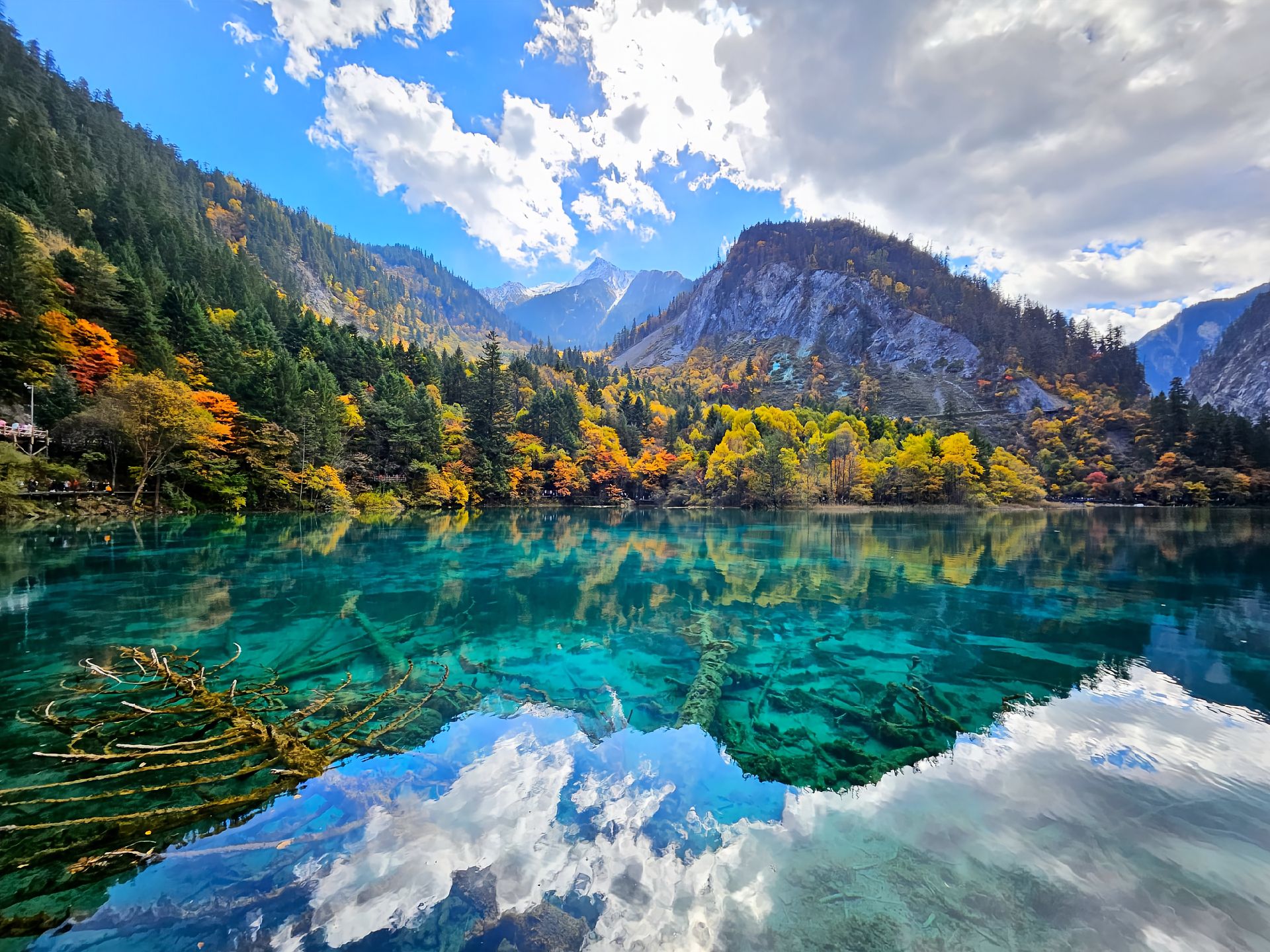 九黄峨乐都熊7天游，一网打尽！四川必去TOP榜！