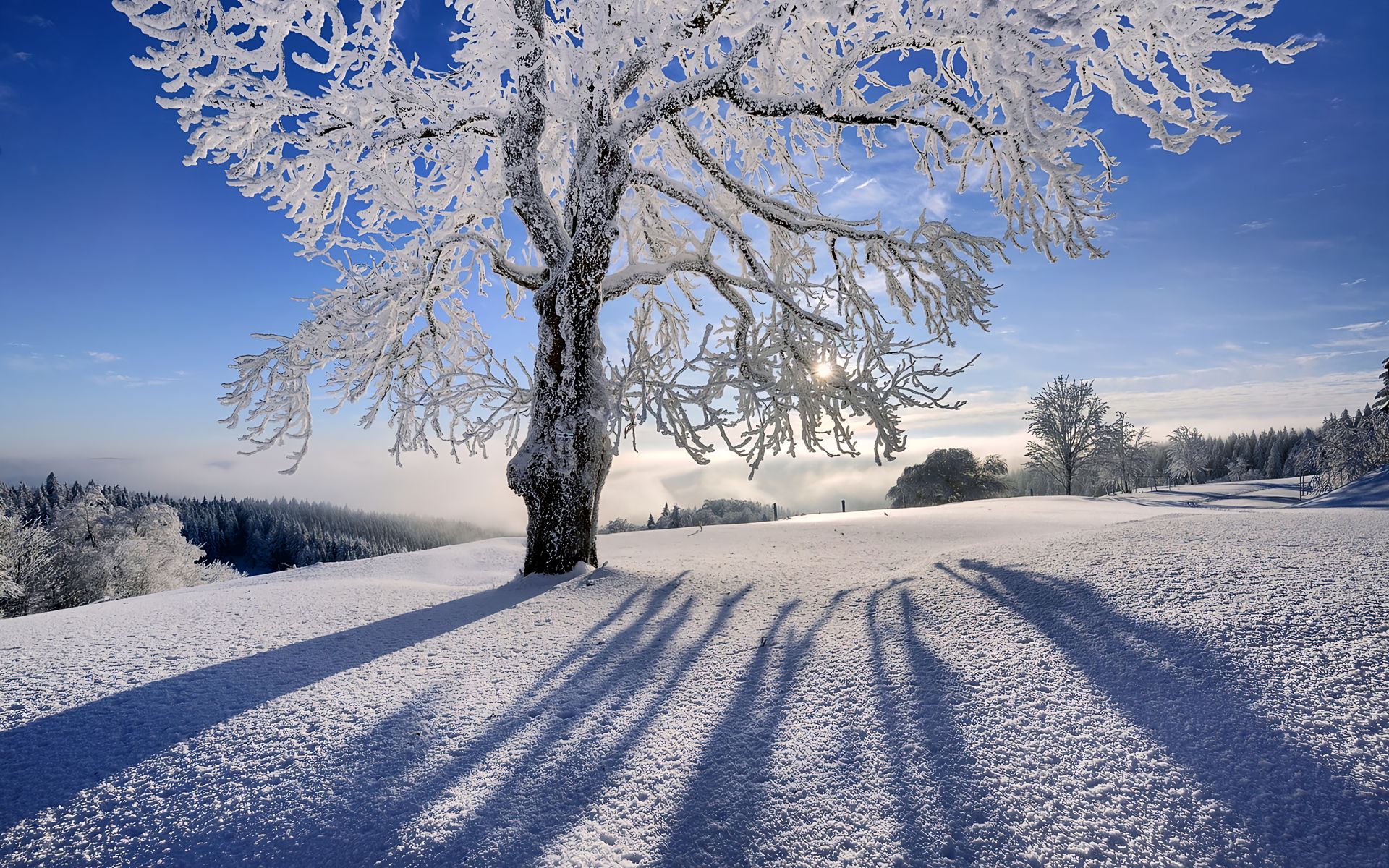 冰城夏都，魅力哈尔滨
